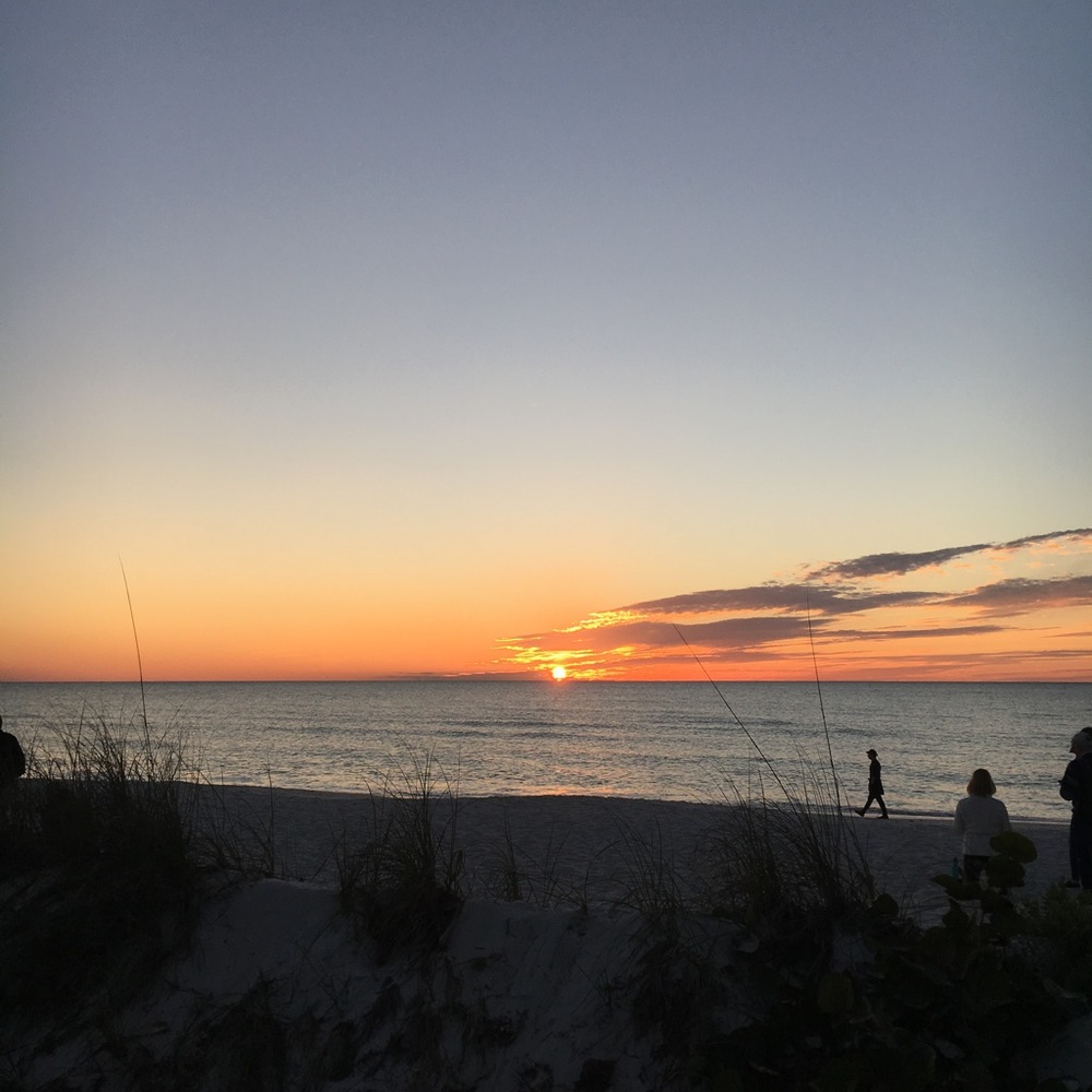 Meet your Posher, Frances